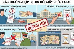 4 trường hợp bị thu hồi giấy phép lái xe, hàng triệu người cần chú ý