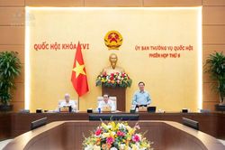 Đề nghị khẩn trương tổng hợp ý kiến nhân dân về dự án Bộ luật Hình sự (sửa đổi)