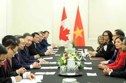 [Ảnh] Tổng Bí thư, Chủ tịch nước Tô Lâm tiếp Nhóm Nghị sĩ hữu nghị Canada-Việt Nam