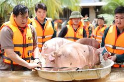 Đồng Nai chủ động ứng phó với mưa lớn, ngập úng và sạt lở đất