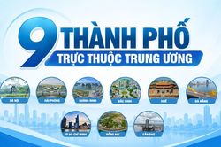 [Infographic] Tổng quan về 9 thành phố trực thuộc Trung ương