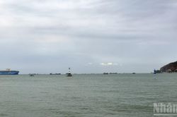 Thành phố Hồ Chí Minh: Giao 49ha vùng biển ngoài khơi Vũng Tàu để nhận chìm chất nạo vét