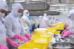 Nhiều thị trường siết SPS: Nông sản Việt phải chủ động thích ứng