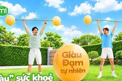 Điều gì làm nên giá trị của nguồn đạm lành từ 'hạt vàng tự nhiên'?