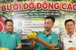 Đưa bưởi đỏ Đông Cao lên livestream, mở thêm kênh tiêu thụ cho nông dân
