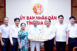 Giáo sư Cổ Minh Đức đề xuất dự án Trung tâm Thể thao - Sức khỏe tại Gia Lai