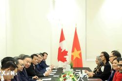 Tổng Bí thư, Chủ tịch nước Tô Lâm tiếp Nhóm Nghị sỹ hữu nghị Canada-Việt Nam