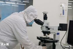 TP Hồ Chí Minh: Xây dựng hệ sinh thái đồng bộ thu hút nhân lực chất lượng cao