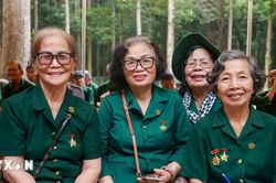 Sáng mãi ngọn lửa xung kích, cống hiến của Thanh niên Xung phong