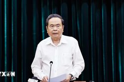 Thông qua báo cáo của Đoàn kiểm tra, giám sát đối với Ban Thường vụ Thành ủy Thành phố Hồ Chí Minh