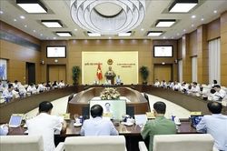 UBTV Quốc hội cho ý kiến về dự án Bộ luật Hình sự (sửa đổi)