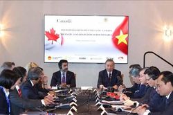 Tổng Bí thư, Chủ tịch nước Tô Lâm dự Tọa đàm Việt Nam – Canada