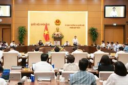 Sửa Luật An toàn thực phẩm: Phân cấp mạnh hơn, quản lý sát hơn
