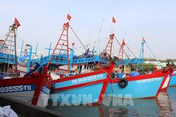 Quản lý đội tàu, kiểm soát chặt hoạt động khai thác thủy sản
