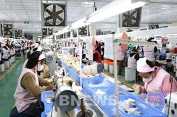 108 doanh nghiệp duy trì lợi nhuận bền vững nhiều năm
