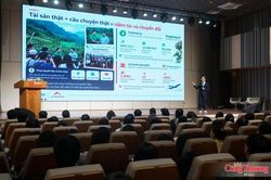 Đà Nẵng: Nâng cao chất lượng nguồn nhân lực thương mại điện tử