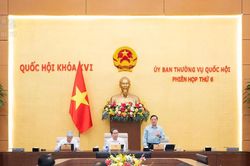Cân nhắc mở rộng danh mục tội danh mà pháp nhân thương mại phải chịu trách nhiệm hình sự