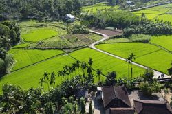 Cội nguồn xứ Quảng trong nhân cách cụ Huỳnh Thúc Kháng
