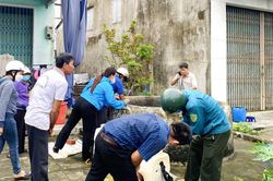 Tăng cường phòng bệnh sốt xuất huyết