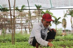 Chủ động bảo vệ sản xuất nông nghiệp