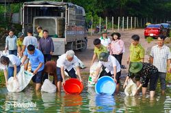 Thả hơn 10 ngàn con cá giống vào hồ Trị An