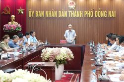 Đồng Nai họp triển khai các biện pháp cấp bách phòng, chống dịch bệnh sốt xuất huyết