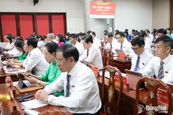 HĐND thành phố Đồng Nai thống nhất chủ trương giao Thành phố Hồ Chí Minh làm cơ quan chủ quản Dự án Cầu vượt quốc lộ 51