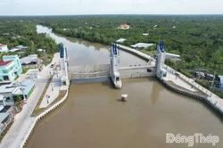 Đồng Tháp: Vận hành các công trình phòng, chống triều cường