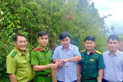 Xã Phù Mỹ Bắc thả 1 cá thể rùa Sa nhân về môi trường tự nhiên