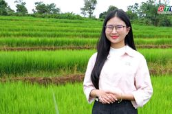 Nét duyên ruộng bậc thang Chư Sê