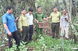 Công an xã Vĩnh Hải phối hợp tiếp nhận và thả cá thể trăn gấm về rừng