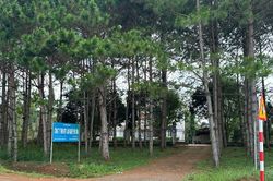 Cần cơ chế gỡ vướng nợ tiền thuê đất của công ty lâm nghiệp ở Lâm Đồng