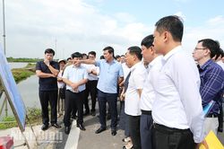 Thứ trưởng Bộ Xây dựng Nguyễn Tường Văn khảo sát, kiểm tra thực địa Khu Kinh tế Ninh Cơ