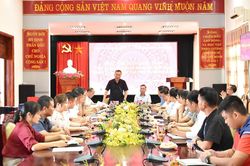 Thúc đẩy phát triển phong trào bóng đá từ cơ sở