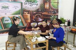 Vị quen mà lạ trong búp chè xanh