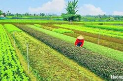 Hóa Châu tháo gỡ vướng mắc đất đai, tăng tốc đầu tư