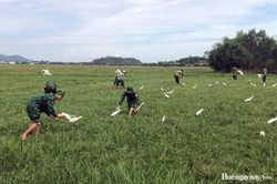 Tháo gỡ hàng nghìn dụng cụ bẫy chim, cò tại xã Phú Lộc