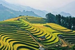 Bộ Nông nghiệp và Môi trường tổ chức hội thi “Điểm đến du lịch nông thôn Việt Nam tốt nhất”