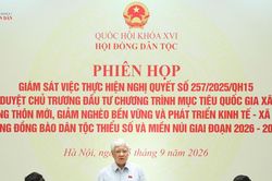 Thực hiện thành công các Chương trình mục tiêu quốc gia, đóng góp vào tăng trưởng hai con số
