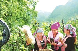 Đẩy mạnh hạ tầng số và khoa học công nghệ: 'Đòn bẩy' nâng tầm HTX vùng dân tộc thiểu số