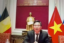 EU siết MRL, trái cây Việt phải chủ động từ vùng trồng
