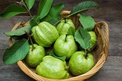 Bí quyết đơn giản chọn ổi thơm giòn, ngọt lịm, đậm vị mùa thu không nên bỏ qua