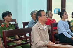 Gây ô nhiễm môi trường, Chủ tịch TNHH Phước Loan lĩnh án