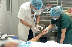 Chó tấn công cụ bà nằm liệt giường 6 năm