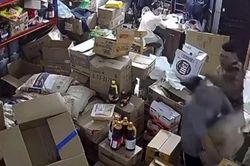 Hà Nội: Tạm giữ đối tượng đấm gãy xương mũi, gò má nhân viên kho hàng