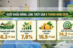 [Video] Phó Thủ tướng: Không để sản xuất nông sản xong mới đi tìm thị trường