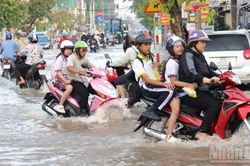 Miền Tây: Vì sao lũ càng nhỏ, triều cường càng lớn?