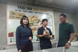 Nuôi dúi - hướng phát triển kinh tế ở Văn Lang