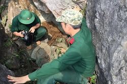 Miệt mài tìm kiếm đồng đội