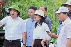 Hỗ trợ thi công đẩy nhanh tiến độ dự án tuyến đường Lê Trọng Tấn